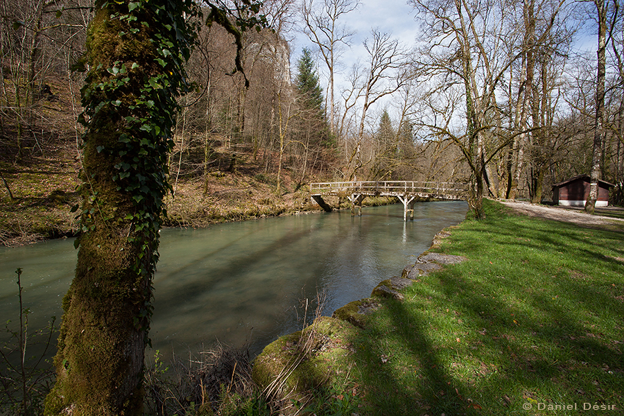 Back to the gallery 25