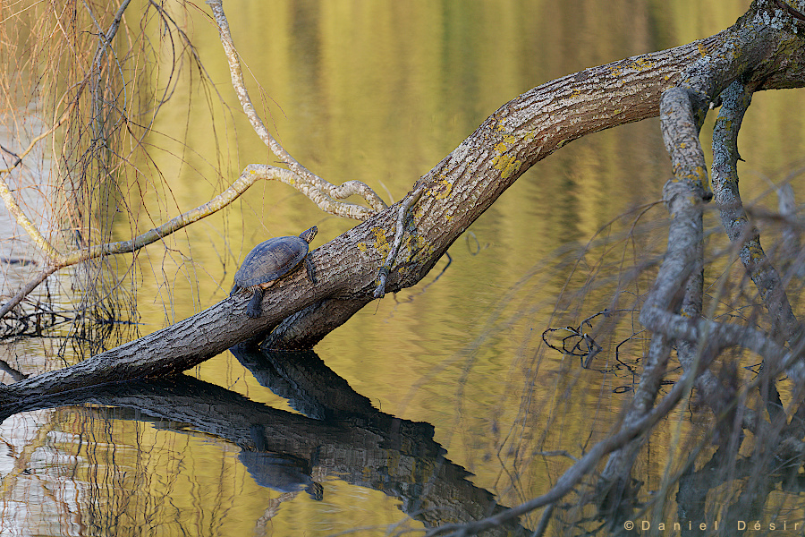 Back to the gallery 21