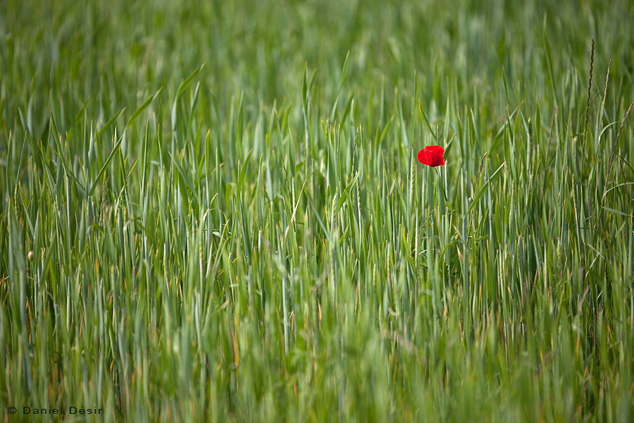 Back to the gallery 22