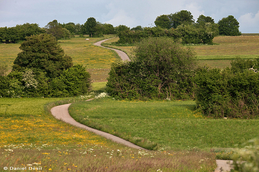 Back to the gallery 22