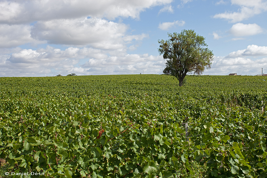 Back to the gallery 22