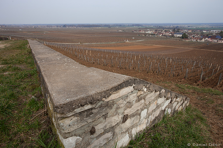 Back to the gallery 21