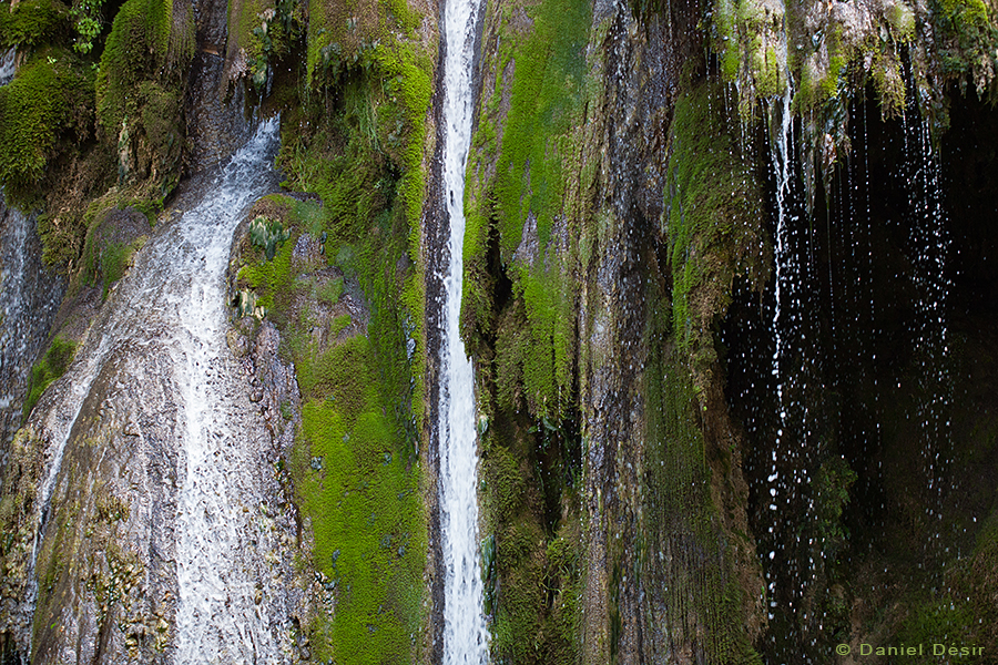 Retour à la Galerie 27