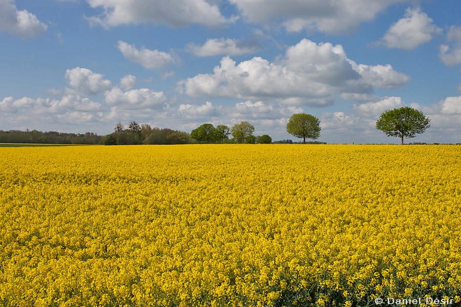 Back to the gallery 35