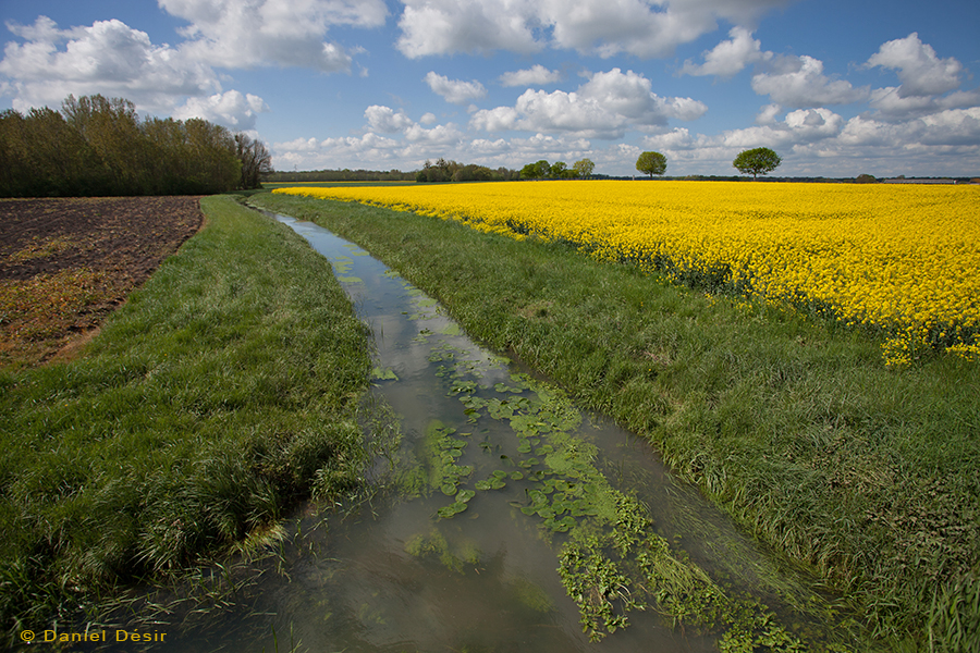 Retour à la Galerie 27