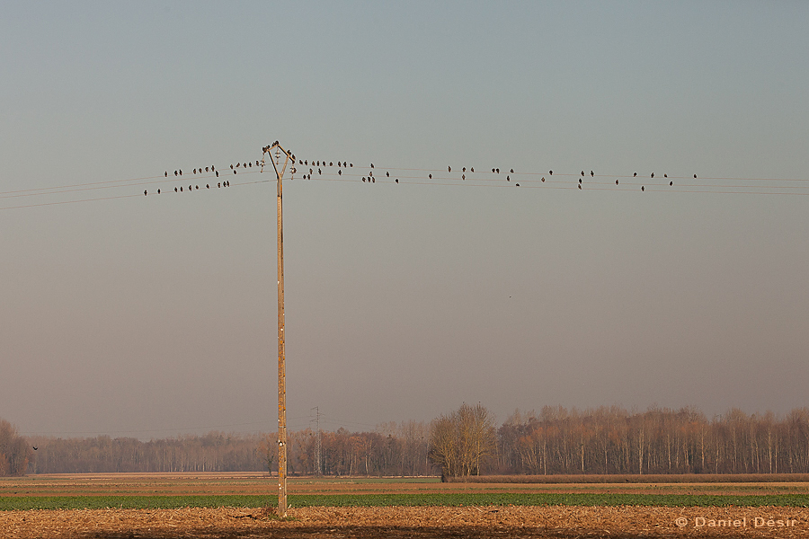 Retour à la Galerie 28