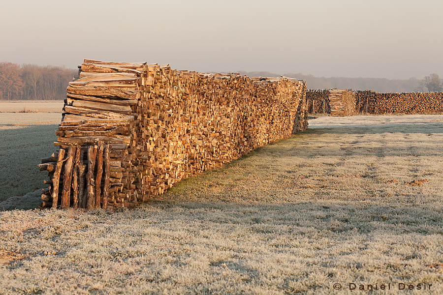 Retour à la Galerie 28