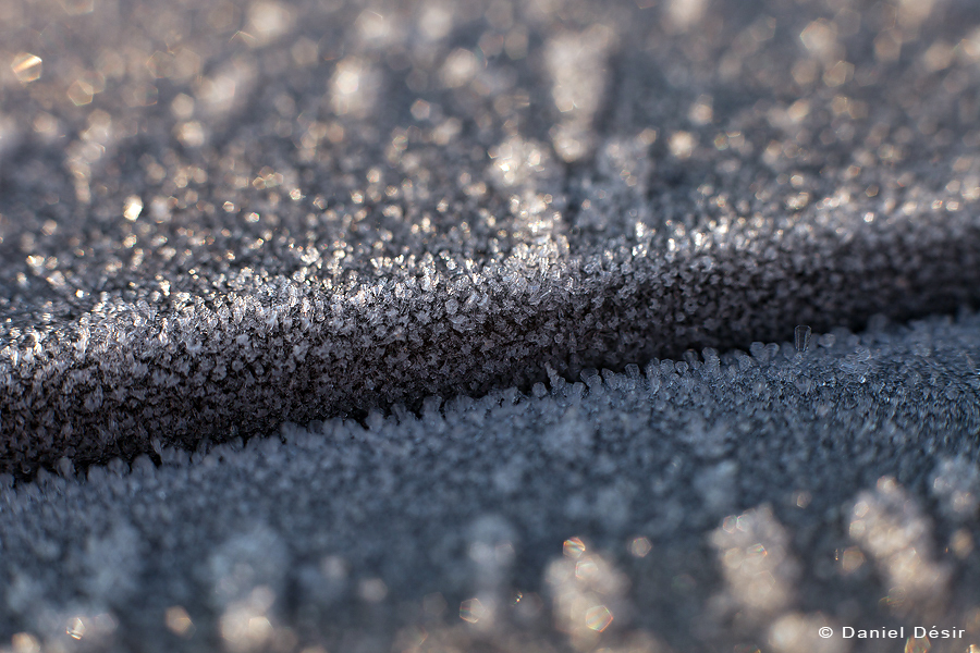 Retour à la Galerie 28