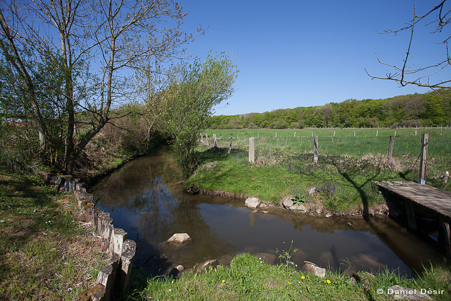 Back to the gallery 31