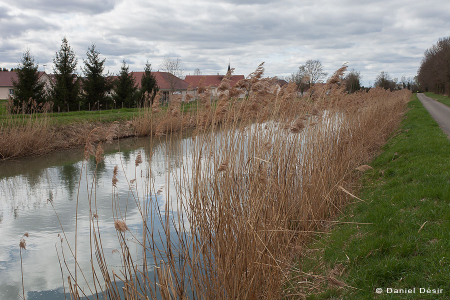 Back to the gallery 31