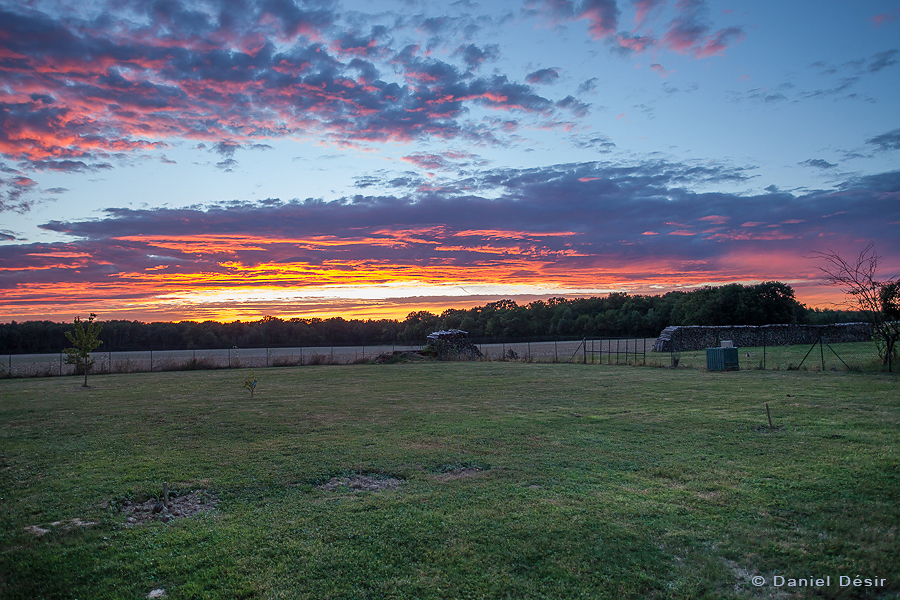 Retour à la Galerie 29