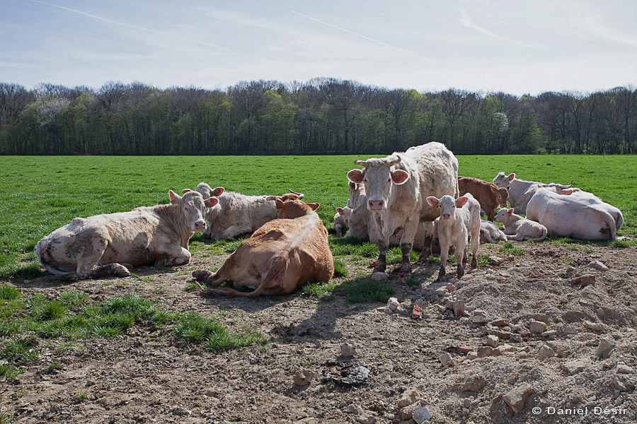 Back to the gallery 31