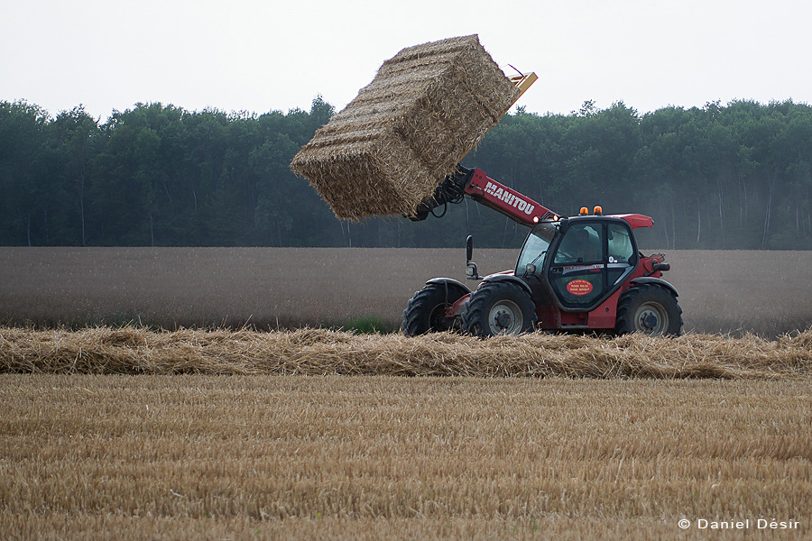 Back to the gallery 31