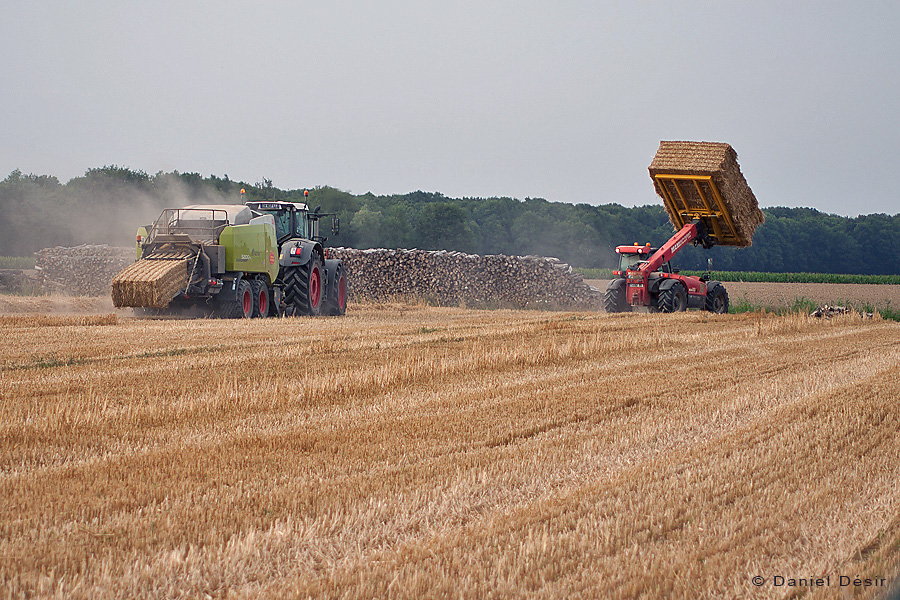 Back to the gallery 31