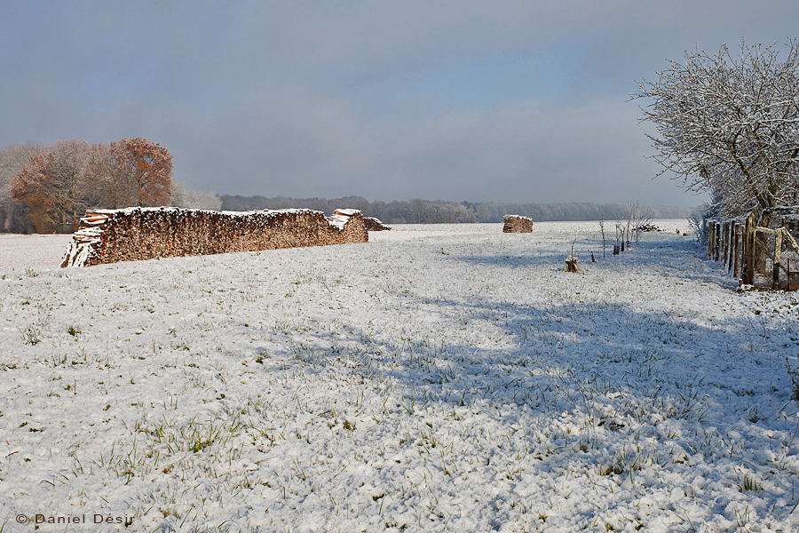 Back to the gallery 30