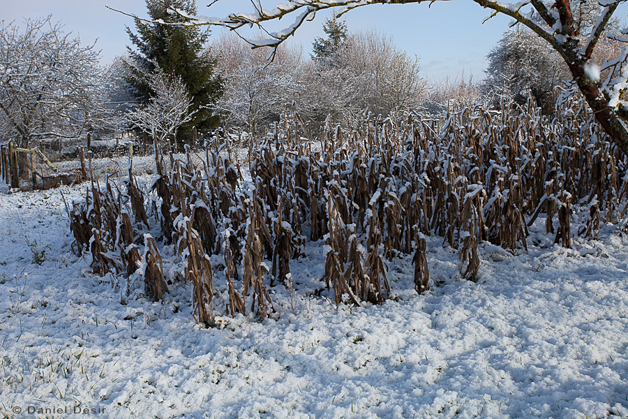 Back to the gallery 30