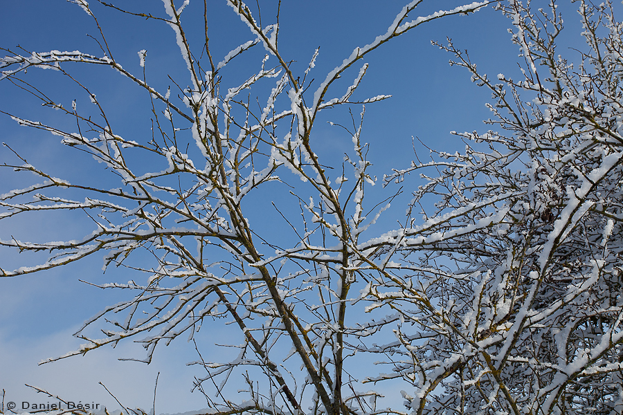 Back to the gallery 30