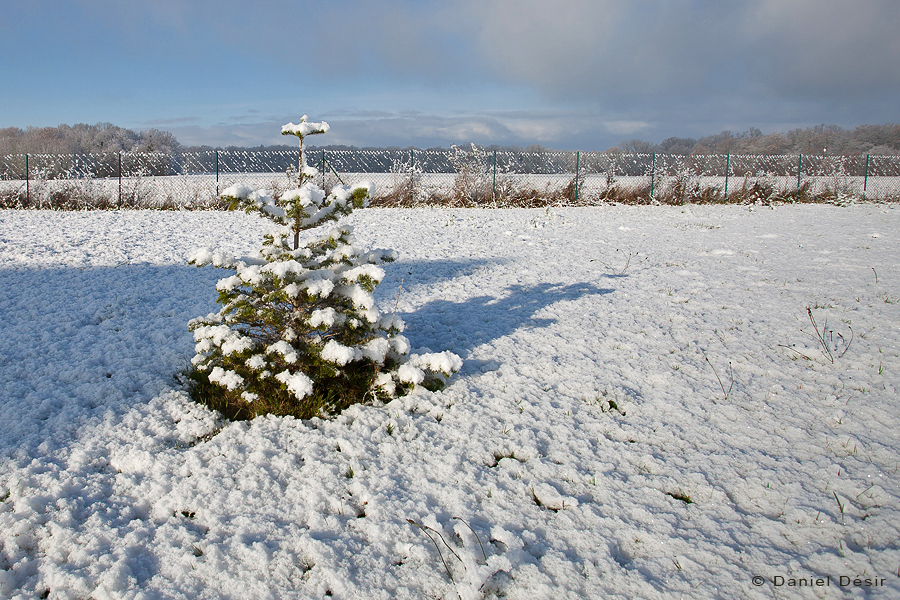 Back to the gallery 30