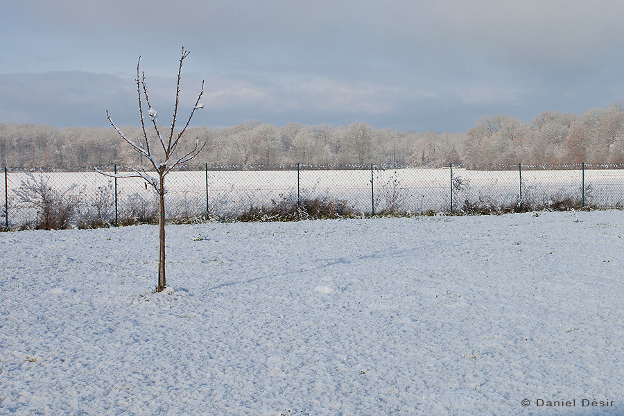 Back to the gallery 30