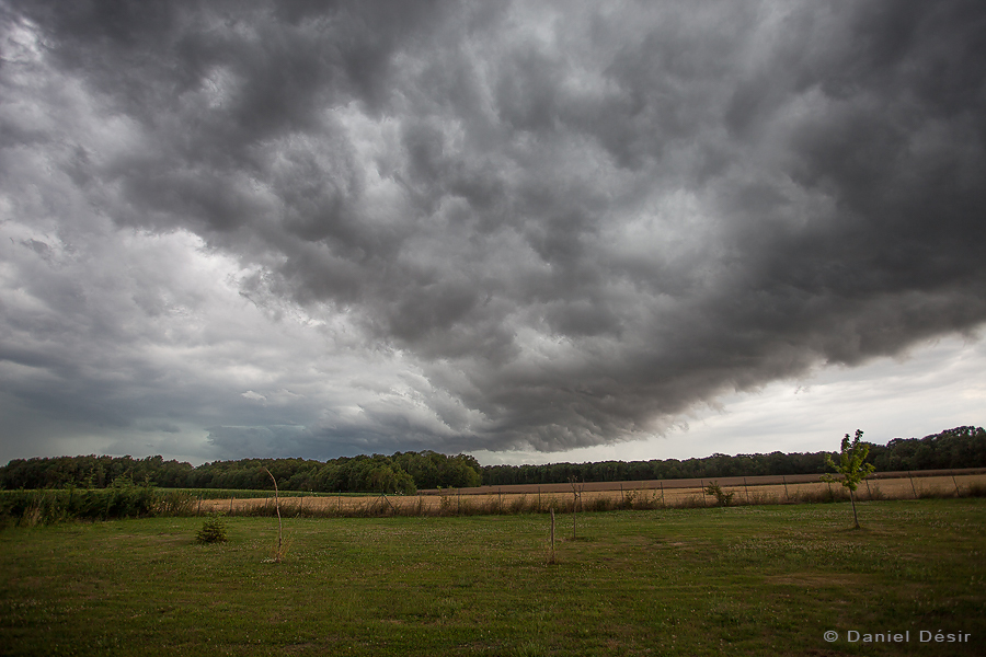 Retour à la Galerie 29