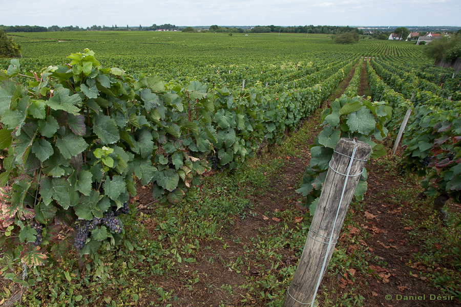 Retour à la Galerie 29