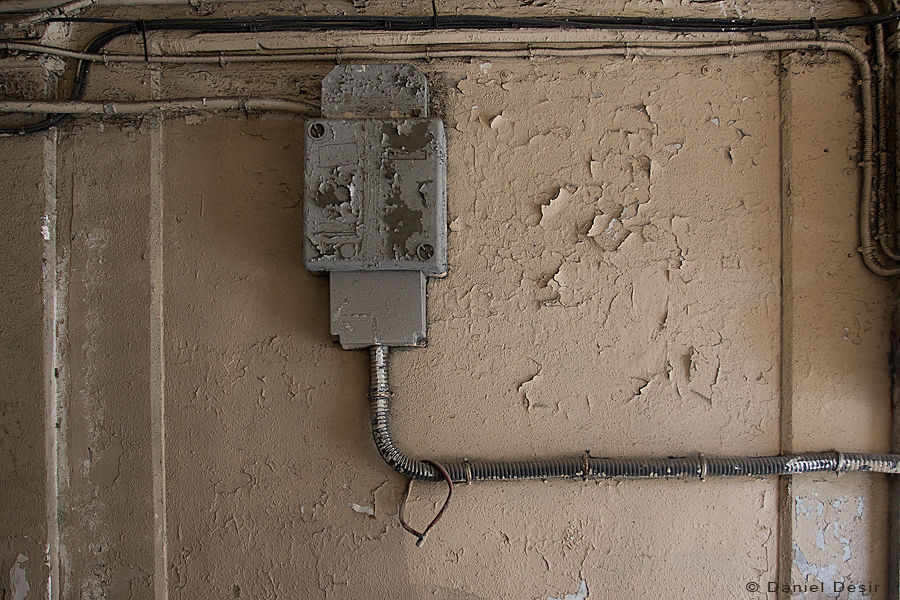 Back to the gallery 33