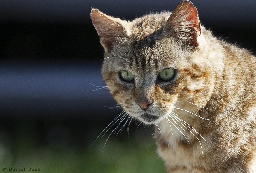 Back to the gallery 35