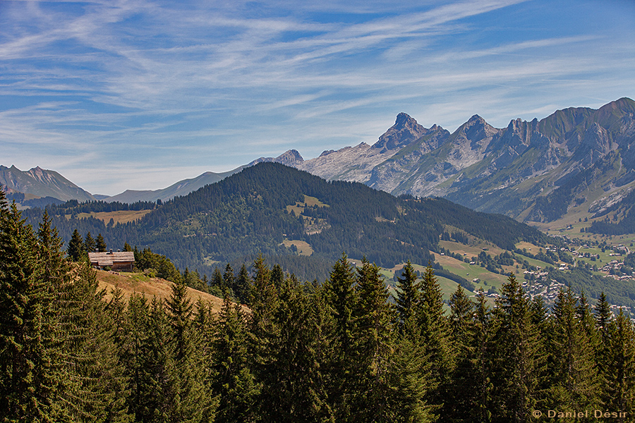 Back to the gallery 34