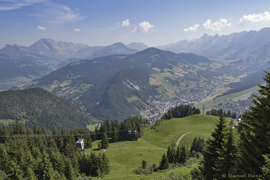 Back to the gallery 34