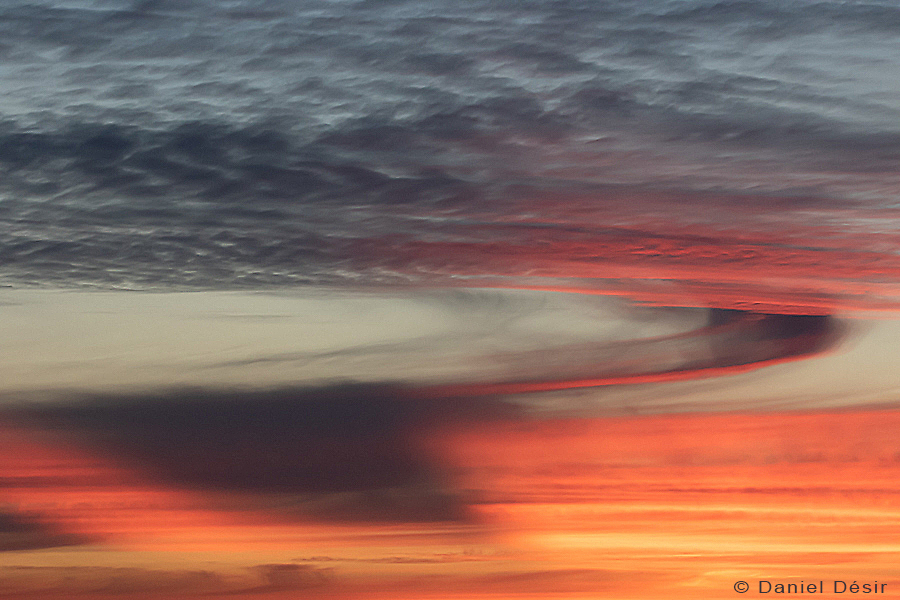 Back to the gallery 35