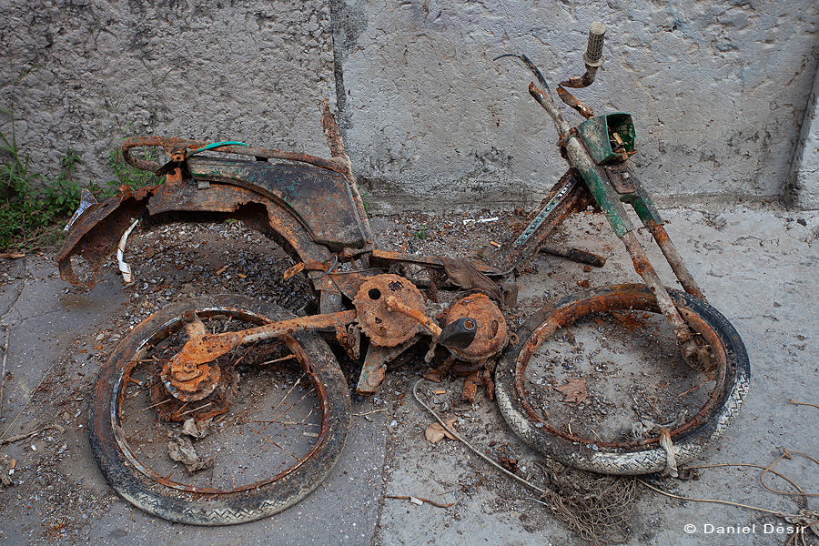 Back to the gallery 8