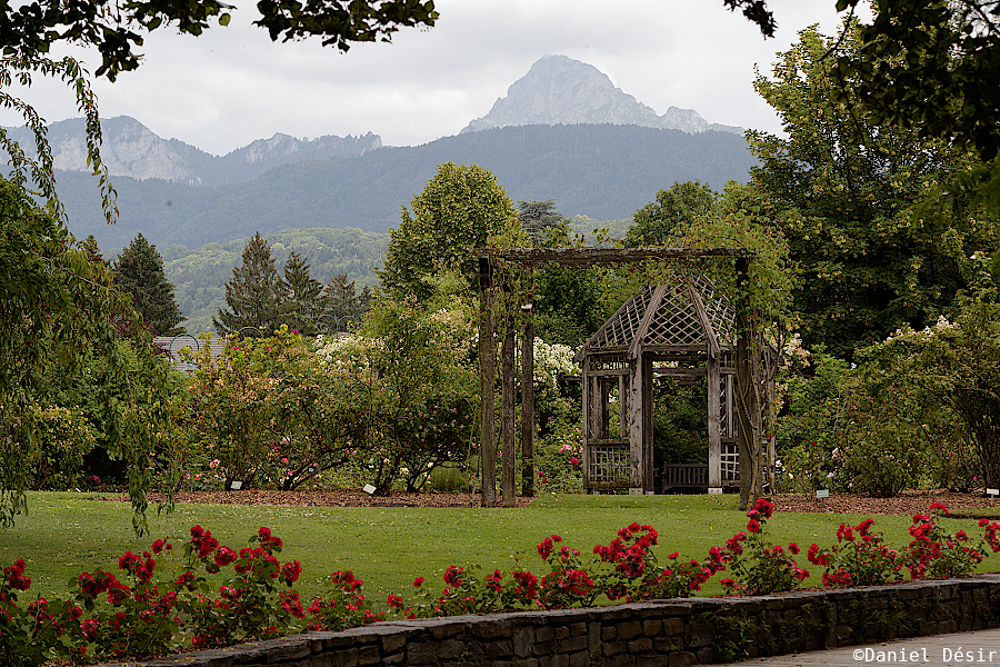 Back to the gallery 32