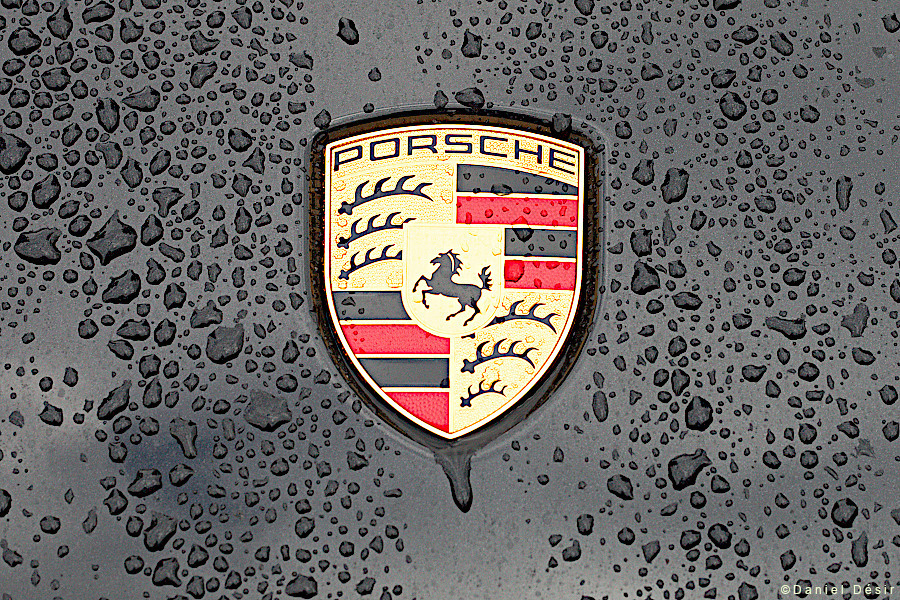 Back to the gallery 37