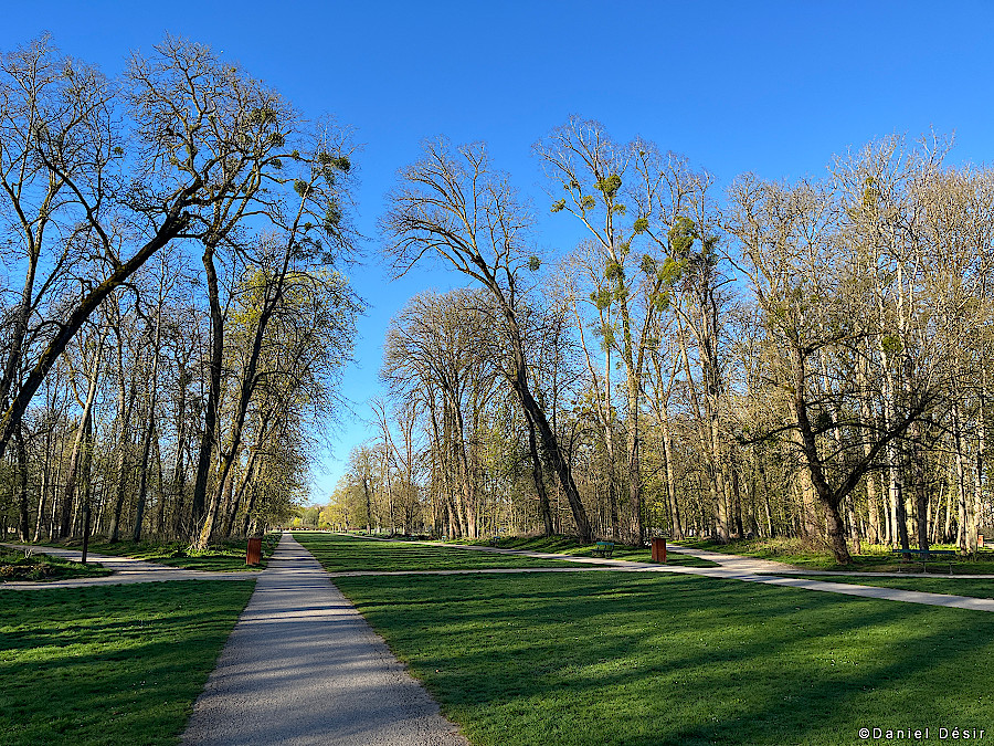 Back to the gallery 37