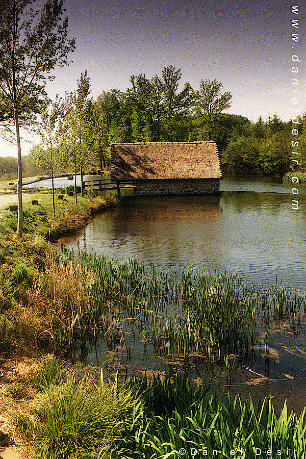 Back to the gallery 3