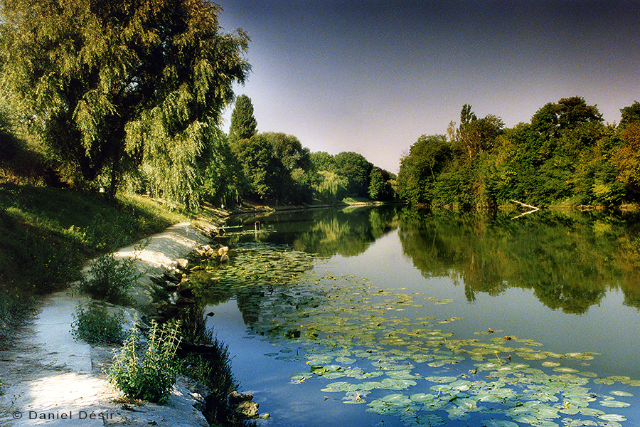 Back to the gallery 4