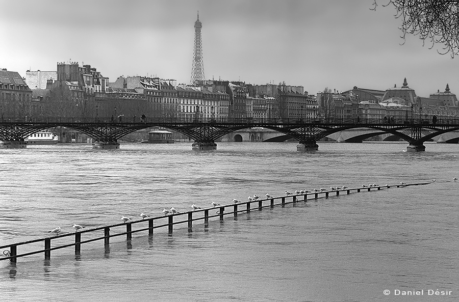 Back to the gallery 2