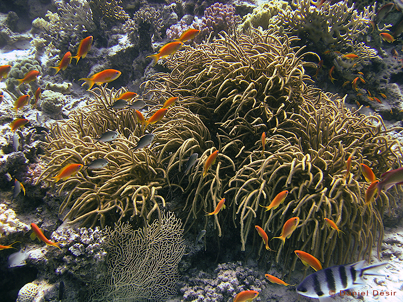 Back to the gallery 4