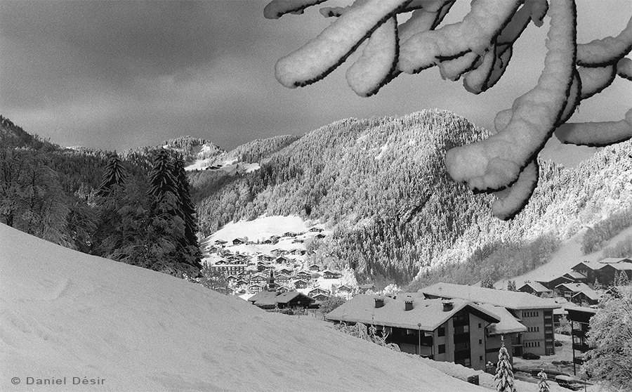 Back to the gallery 1