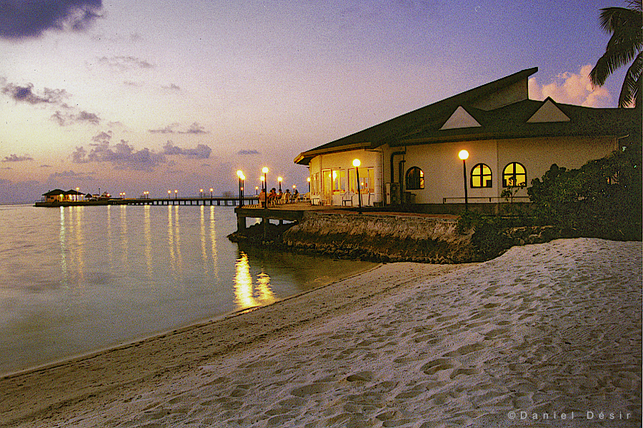 Back to the gallery 3