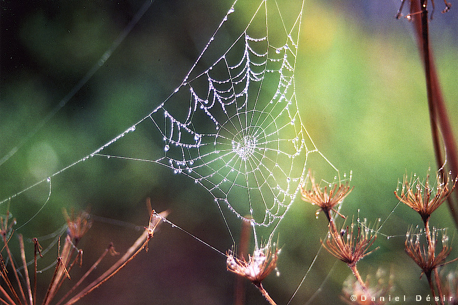 Back to the gallery 6