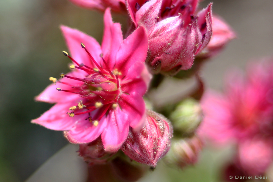 Retour à la Galerie 1