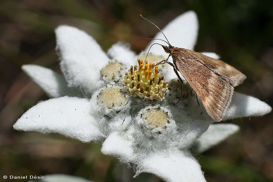 Retour à la Galerie 3