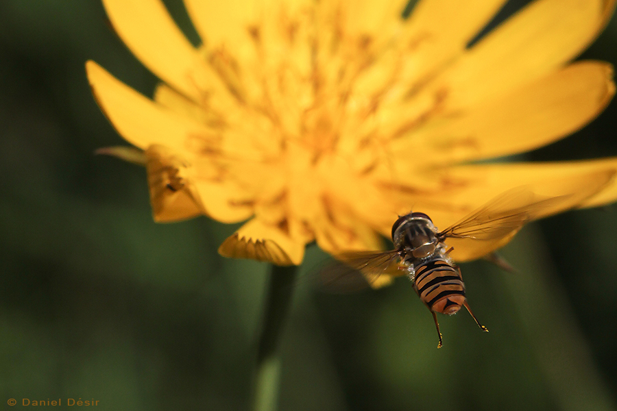 Retour à la Galerie 1