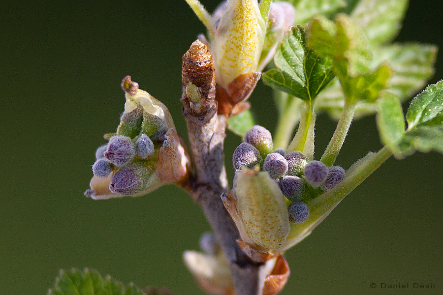 Back to the gallery 2