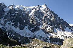 Agrandir